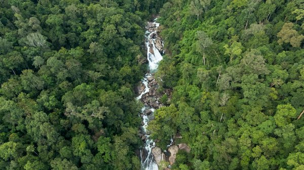 École de créateurs de jeux vidéo : donnez vie à vos idées !