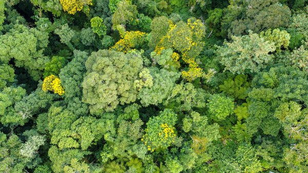 Le meilleur télescope débutant pour plonger dans l'astronomie